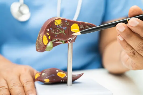 Comprehensive GI Surgical Care at Solo Clinic