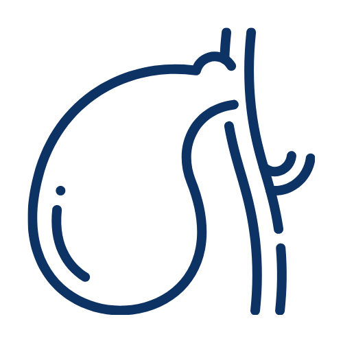 Gallbladder & Bile Duct Stones